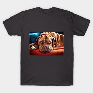 Cute Bulldog T-Shirt